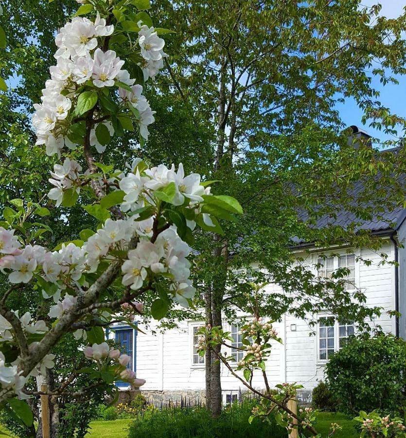 Kjorsvik Ovre Apartment Tornes Exterior foto